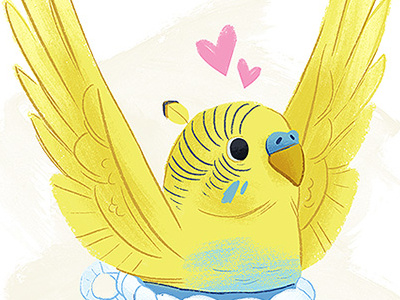 Budgie-zuna budgie illustration sumo