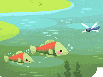 Sockeyes fish illustration river salmon
