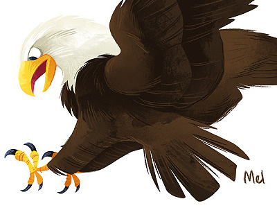Baldy bald eagle bird eagle illustration