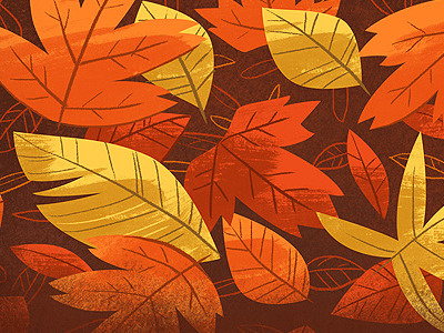 Leaves autumn illustration leaf leaves