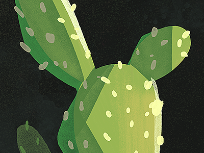 Cactus art cactus desert green illustration plant