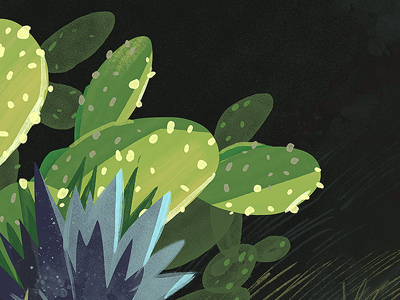 More Cactus art cactus desert green illustration plant