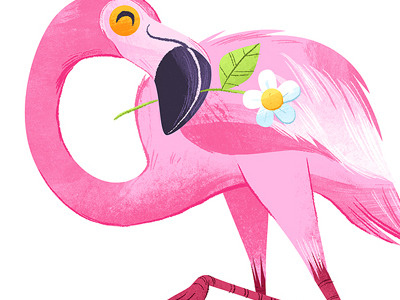 Flamingo birds flamingo illustration