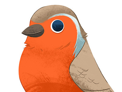 Rob birds illustration robin