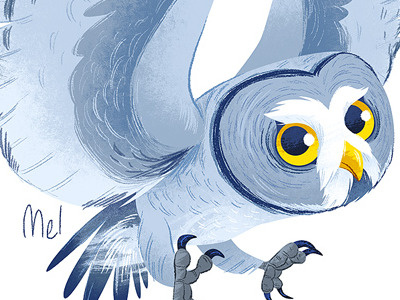 Twilight birds illustration owl