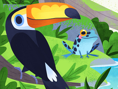 Toucan & Frog animals art bird cute frog illustration toucan