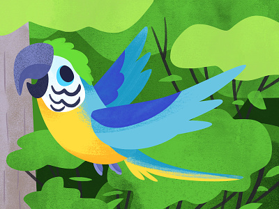 Lil Macaw art bird cute illustration jungle macaw
