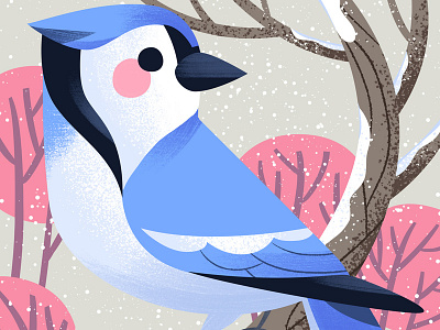 Bluejay Designs Themes Templates And Downloadable Graphic Elements On Dribbble Bluejay Designs Themes Templates And Downloadable Graphic Elements On Dribbble