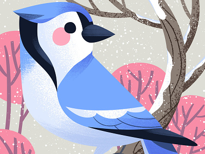 Hey Jay art bird bluejay cute illustration kidlitart