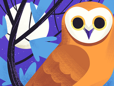 Night Owl art bird cute illustration kidlitart owl