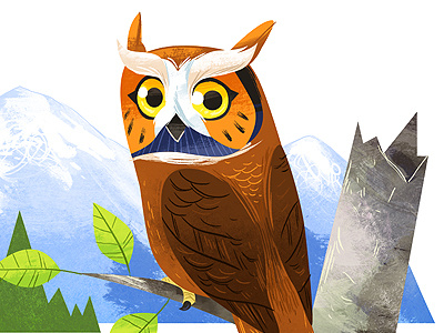 American Owl bird illustration owl