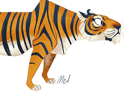 Tigs animal illustration tiger