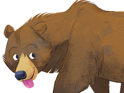 Brown Bear animals bear brown bear illustration
