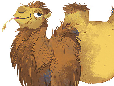 Camel animals camel illustration