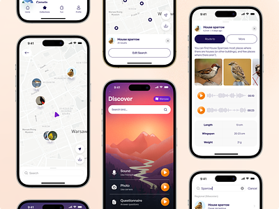 Trillsy: Bird recognition app app app design bird birdwatching concept design illustration ios map mobile recognition search sound recognition ui uiux