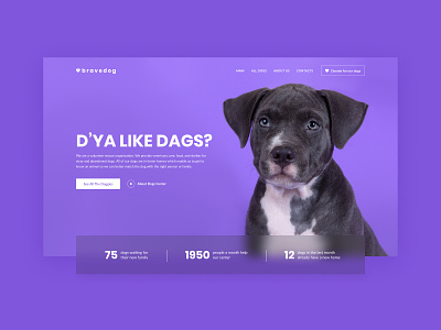 Dog shelter website concept design dog shelter ui webdesign website