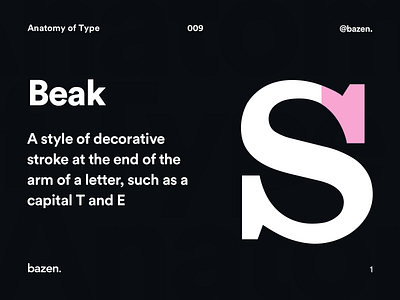 Anatomy of Type - Beak