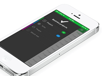 Bird View Projects - IOS 7+ App app flat flat ui ios iphone time managment ui