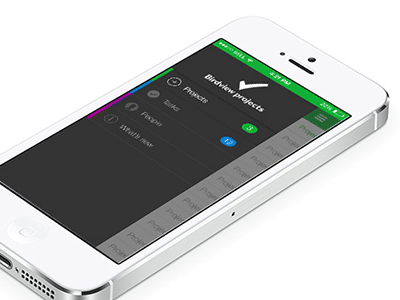Bird View Projects - IOS 7+ App