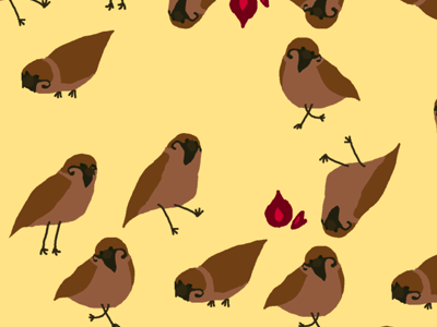 Sparrows bird children illustration