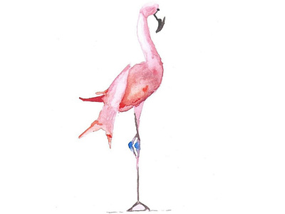 Flamingo watercolour