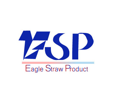 Eagle1 branding design illustration logo vector
