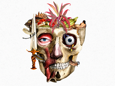 Skully anatomy art bugs collage dagger skull skull art surreal
