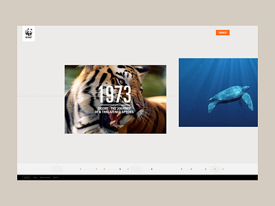 WWF 40th years website animation art direction design digital experience graphic design interaction interactive design interface interface design layout timeline ui ui design ux ux design web web design website layout wwf