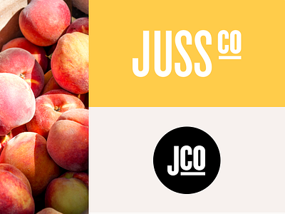 Juss Co - Branding brand branding branding design design studio fresh graphic design identity logo studio visual identity website
