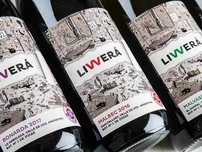 LIVVERÁ Wine Label design identity illustration wine label wine marketing