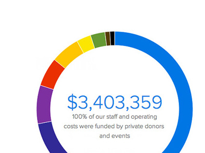 charity: water annual report 2011 donut graph