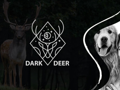 deer 1