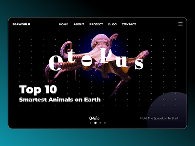 Octopus - Discovery Web Art app artwork design typography ui ux web