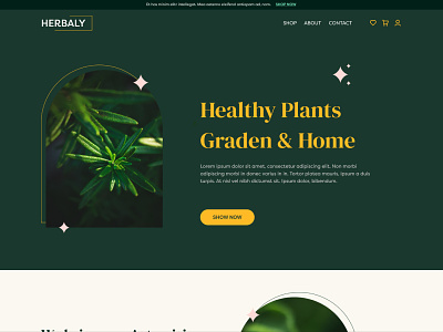 Herbaly - Website Landing Page UI Design