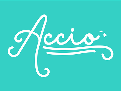 03 / Accio custom harrypotter lettering script typography