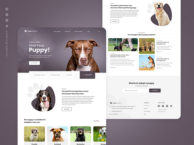 Pet Adoption - Landing Page Exploration addict graphics addictgraphics branding design graphicdesign typography ui user experience user interface ux