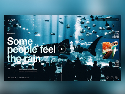 🐋Aquarium / Web Site Design animal aquarium creative design fish graphicdesign interface landingpage ui uidesign uiux ux uxdesign webdesign website
