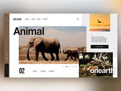 🐘Animal on Earth ｜Daily Ui Design