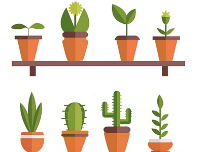 Plants 🌵🌱 illustrator work