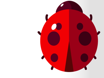 Ladybug illustrator