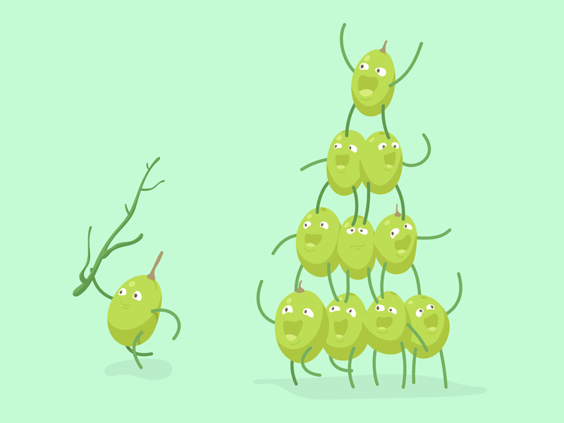 Cheeky Grape cheeky illustrator vectorillustration playnice teamwork grapes fruit characterdesign character art vienna animation studio vector polarfux illustration