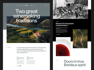 P+S Website Direction douro luxury luxury website portugal premium premium website ui webdesign wine wine layout wine website