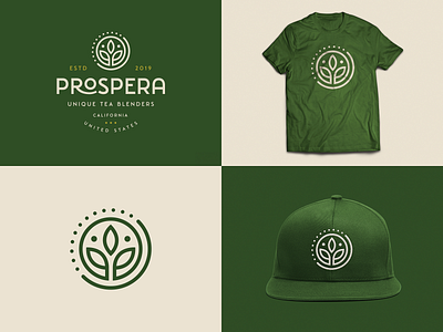 Prospera Tea Branding brand branding design green icon leaf leafs logo nature tea