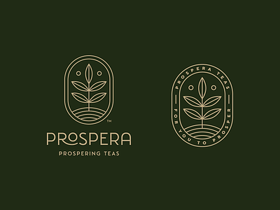 Premium Tea Logo branding design logo luxury luxury logo premium logo tea tea logo teas vector