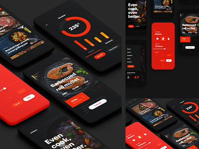 BBQ Food iOS App Design