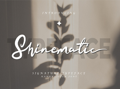Shinematic Font fonts