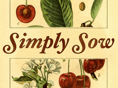 Simply Sow series idea