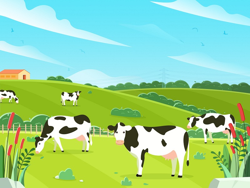 Dairy Farm by YUXIN耶 on Dribbble