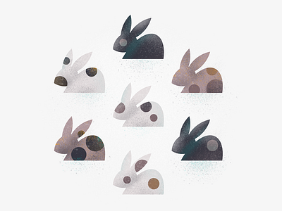 Bunnies bunny rabbit