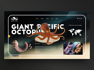 Octography branding design logo ui ux web website